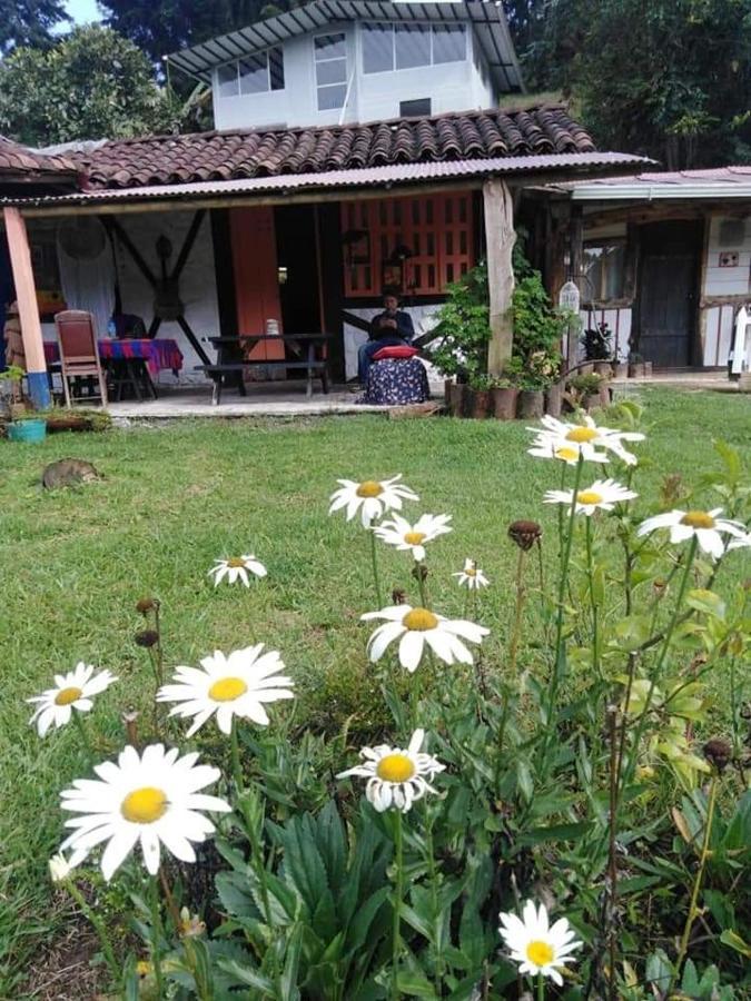 Tarragona Hostal Santa Rosa de Cabal Ngoại thất bức ảnh